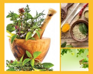 Herbal Franchise Company