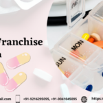 Pharma Franchise in Mizoram