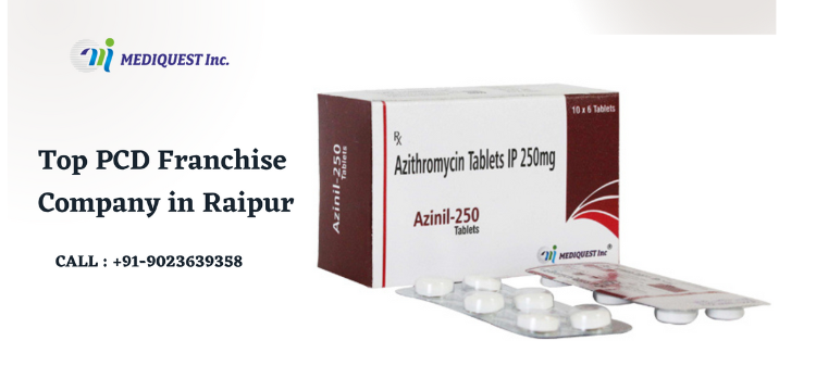 Top PCD Franchise Company in Raipur