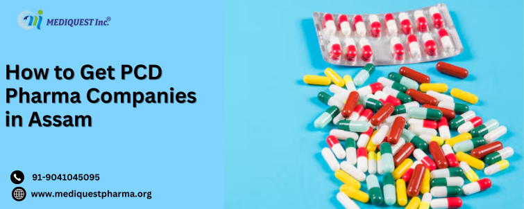 Best Monopoly Based PCD Franchise Companies in India