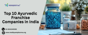 Top 10 Ayurvedic Franchise Companies in India